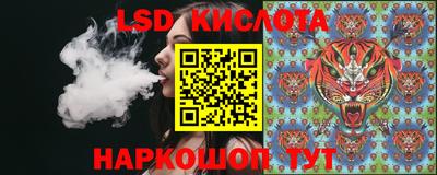 a pvp Новозыбков