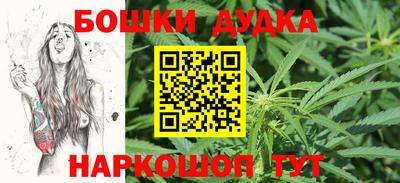 a pvp Новозыбков