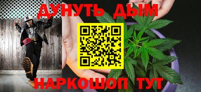 a pvp Новозыбков