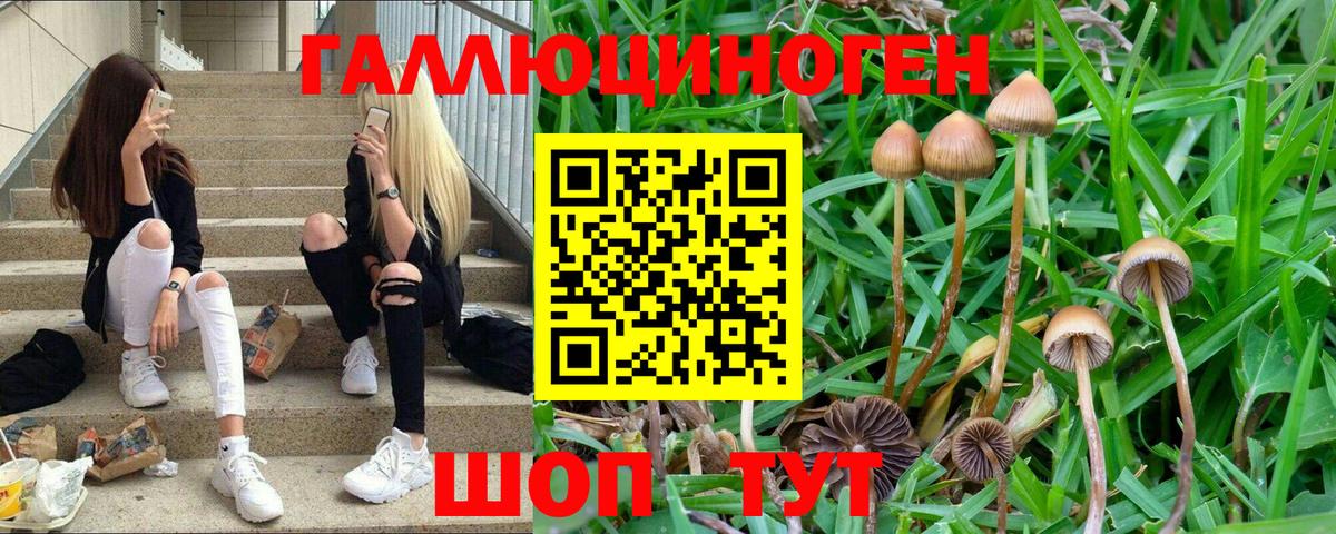 Псилоцибиновые грибы прущие грибы Видное