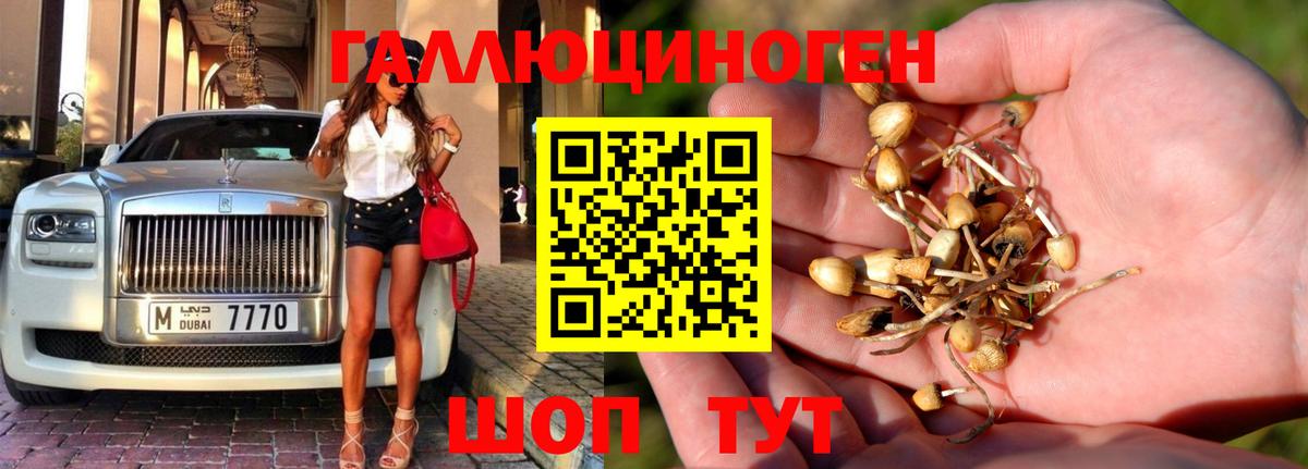 цена   Псилоцибиновые грибы Cubensis  Псилоцибиновые грибы GOLDEN TEACHER  Вход с VPN  Видное 